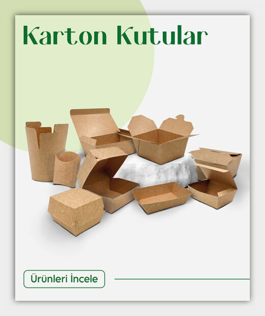 karton kutular